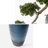 Artificial Trees Artificial Bonsai Tree New Chinese-Style Green Simulation Welcome Pine Bonsai Tree Office Living Room Desktop Large Decor Simulation Potted Plant with Ceramic Vase Simulated Pine view 3