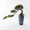 Artificial Trees Artificial Bonsai Tree New Chinese-Style Green Simulation Welcome Pine Bonsai Tree Office Living Room Desktop Large Decor Simulation Potted Plant with Ceramic Vase Simulated Pine view 4