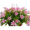 12 Inch Large Home Wedding Party Porch Garden Decoration Chain Hanging Basket Flower Silk Artificial Magnolias (Slight Pink) view 3