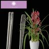 BALWOO Korean Flat Chopsticks [5 Sets][Made in Korea] 304 Premium Stainless Steel Mukbang Utensil Cutlery Silverware Metal Chopsticks (Orchid Painting) view 4