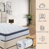 12" Memory Foam Hybrid Pocket Coil Mattress, Euro Hybrid Tight Top Mattress for Adults Teens, Queen view 4