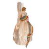 Kurt Adler 16-Inch Fiberoptic Pride Angel Tree Topper view 2