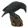 1 Pcs of Perching Raven On Rock Statue 5" Tall Crow Scavenger Bird Decor Figurine view 3