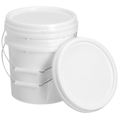 DECHOUS 2pcs Empty Bucket Water Pails Food Grade Buckets with Lids White Paint Art Craft Fishing Water Pail Paint Container Lid White Plastic Cans