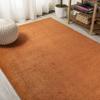 Eyely UES100M-8 Supersoft Haze Solid Low-Pile Indoor Area Rug Casual;Contemporary;Solid;Traditional, Bedroom, Kitchen, Living Room, Easy-Cleaning, Non-Shedding, 8 X 10, Orange view 4