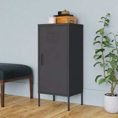 GOLINPEILO Metal Single Door Storage Cabinet with 2 Adjustable Shelves, Steel Cabinet Home Office Storage Cabinets with Doors and Shelves, File Cabinet Organizer,Anthracite 16.7"x13.8"x40"J