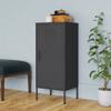 GOLINPEILO Metal Single Door Storage Cabinet with 2 Adjustable Shelves, Steel Cabinet Home Office Storage Cabinets with Doors and Shelves, File Cabinet Organizer,Anthracite 16.7"x13.8"x40"J view 1