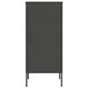 GOLINPEILO Metal Single Door Storage Cabinet with 2 Adjustable Shelves, Steel Cabinet Home Office Storage Cabinets with Doors and Shelves, File Cabinet Organizer,Anthracite 16.7"x13.8"x40"J view 3