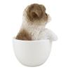 1 Pcs Of Realistic Adorable Dog In Teacup Statue 5.75" Tall Pet Pal Decor Dogs view 3