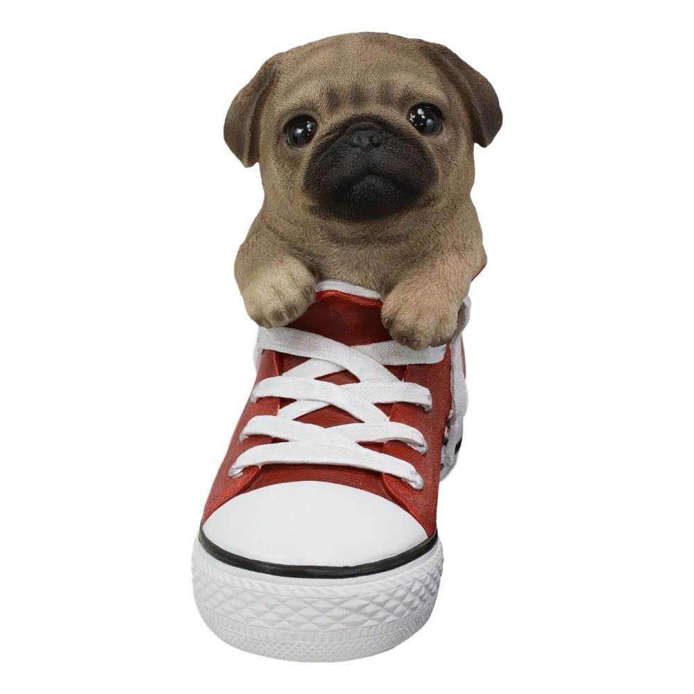 1 Pcs Of Lifelike Fawn Puppy Dog In Sneaker Chucks Shoe Statue