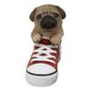 1 Pcs Of Lifelike Fawn Puppy Dog In Sneaker Chucks Shoe Statue view 1