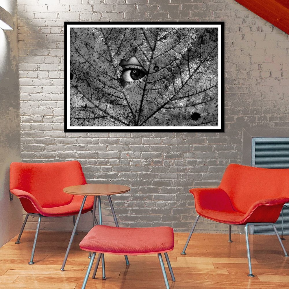 An eye of a stranger canvas wall art print, undefined picture poster for Living Room, Nature theme art by Martin Vorel, 1p-34x51framed