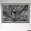 An eye of a stranger canvas wall art print, undefined picture poster for Living Room, Nature theme art by Martin Vorel, 1p-34x51framed view 2