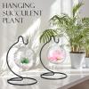 Tatuo 20 Pcs Ornament Display Stand Christmas Holder Hanger Stands Glass Ball Ornament Holder Metal Iron Hanging Hanger for Display Terrarium Air Plant Home Party Decoration view 2