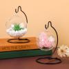 Tatuo 20 Pcs Ornament Display Stand Christmas Holder Hanger Stands Glass Ball Ornament Holder Metal Iron Hanging Hanger for Display Terrarium Air Plant Home Party Decoration view 4