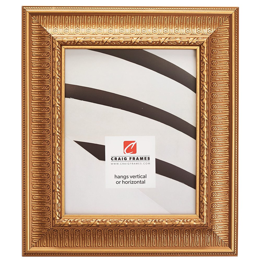 Craig Frames Maximus, 9x12 Picture Frame, Roman Gold