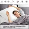 RJ BEDDING King/California King Size Pillow Shams Set of 2, Decorative, 800 Thread Count, 100% Pure Egyptian Cotton, 2PCS King Size Shams (20"X36"), Ultra Soft, White, view 3