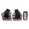 2 Figurine Set Rustic Wildlife Bear Cubs Climbing Stack of Books Bookends view 4