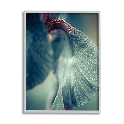 Stupell Industries Close Up Water Drip Petals Giclee Framed Wall Art, Design by Incado