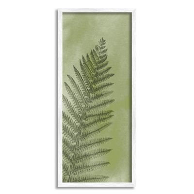 Stupell Industries Intricate Fern Sprout Leaf Giclee Framed Wall Art, Design by Ziwei Li