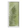 Stupell Industries Intricate Fern Sprout Leaf Giclee Framed Wall Art, Design by Ziwei Li view 1