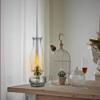 SYALEO Oil Lamp Lantern Retro Glass Kerosene Lamp 2 Pieces Chamber Oil Lamp Antique Clear Hurricane Lamp w/Adjustable Fire Wick Emergency Lighting for Indoor Outdoor Use Tabletop Decor view 4