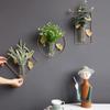 LIFKOME 1pc Wall Mounted Hydroponics Plants Pot Decorative Vase for Indoor Wall Decor Space-Saving Planter for Bedrooms Rooms Offices Unique Design for Plant view 4