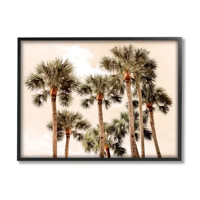 Stupell Industries Summer Palm Trees Sky Giclee Framed Wall Art, Design by Natalie Carpentieri