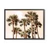 Stupell Industries Summer Palm Trees Sky Giclee Framed Wall Art, Design by Natalie Carpentieri view 1