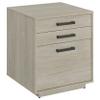 Coaster Home Furnishings - Loomis - Engineered Wood & Veneer - 3-Drawer Modern File Cabinet with Drawer Pulls and Euro Glides - Home Office - Whitewashed Gray - 805882 view 1