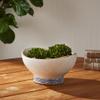 Sea Breeze Decorative Bowl view 2