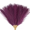Acfruits Dark Purple Pampas Grass Small, 30 Pcs 17" Faux Pampas Grass Short Decor, Pompas Grass Flower Arrangement and Vase Filler for Boho Home Wedding Decoration view 1