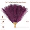 Acfruits Dark Purple Pampas Grass Small, 30 Pcs 17" Faux Pampas Grass Short Decor, Pompas Grass Flower Arrangement and Vase Filler for Boho Home Wedding Decoration view 2