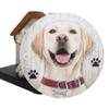 1 Pcs of Cute Golden Puppy Dog in Doghouse Coaster Set Holder and 4 Coasters view 2