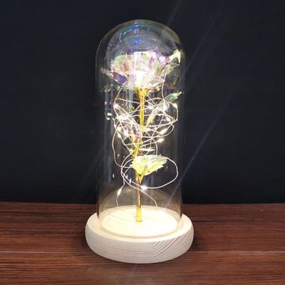Valentines Day Gift for Girlfriend Eternal Rose LED Light Foil Flower in Glass Cover Mothers Day Wedding Favors Bridesmaid Gift (S10)