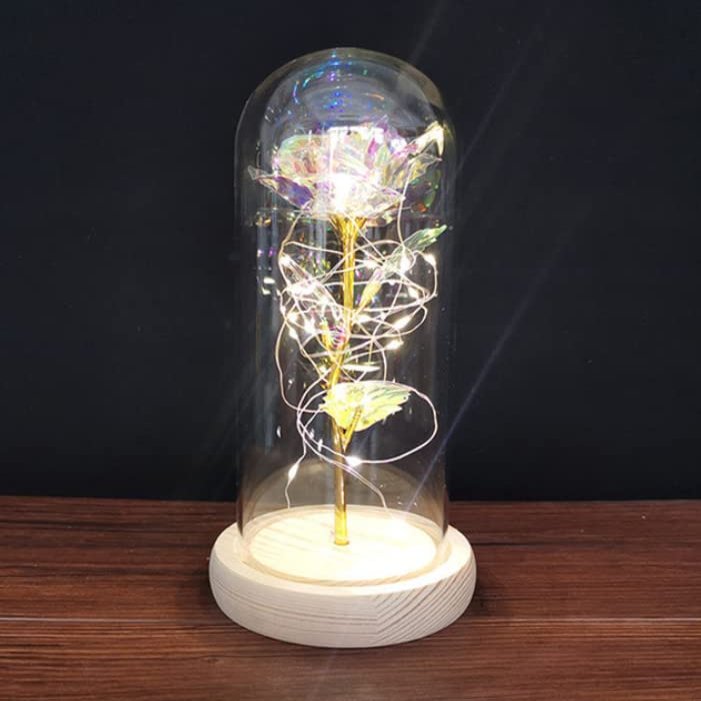 Valentines Day Gift for Girlfriend Eternal Rose LED Light Foil Flower in Glass Cover Mothers Day Wedding Favors Bridesmaid Gift (S10)