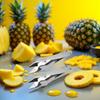 2Pcs Pineapple Tweezers Sturdy Multipurpose Dishwasher Safe Pineapple Eye Clip Stainless Steel Pineapple V Shape Pineapple Eye Cutter for Home Kitchen Fruit Store Supermarket view 2