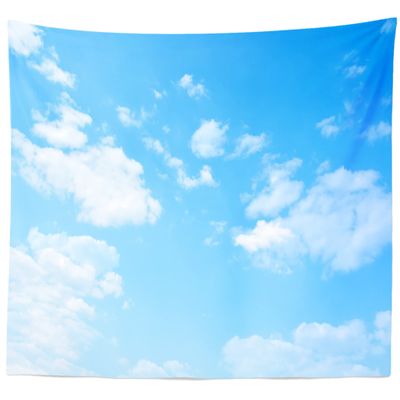 BELECO Light Blue Sky Tapestry Backdrop 176x96Inch Sky Clouds Tapestries Ceiling Wall Bedroom Living Room Dorm Home Decor