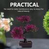 Healvian Plastic Artificial Bonsai Tree,Fake Plants Artificial Bonsai Tree,Fake Realistic Faux Potted Plant Japanese Pine Bonsai Ornament for Home Office Room Decor view 2