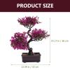 Healvian Plastic Artificial Bonsai Tree,Fake Plants Artificial Bonsai Tree,Fake Realistic Faux Potted Plant Japanese Pine Bonsai Ornament for Home Office Room Decor view 3