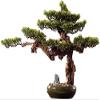 Artificial Bonsai Tree Fake Plant in Pot Artificial Simulation Bonsai Tree Office Simulated Green Plant Potted Plant Pebbles Fake Mountain View Simple and Natural Bonsai Tree in The Living Room for Ho view 1