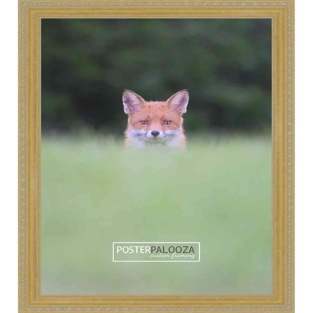 Poster Palooza 5x7 Inch Traditional Gold Complete Wood Picture Frame with UV Acrylic Plexiglass, Foam Board Backing & Hardware Included - 5x7 Inch Frame