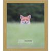 Poster Palooza 5x7 Inch Traditional Gold Complete Wood Picture Frame with UV Acrylic Plexiglass, Foam Board Backing & Hardware Included - 5x7 Inch Frame view 1