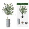 Artificial Tree in Contemporary Geometric Pattern Planter, Fake Eucalyptus Silk Tree for Indoor and Outdoor Home Decoration - 66" Overall Tall (Plant Pot Plus Tree) view 3