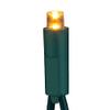 Kurt Adler UL 50-Light Champagne Color Theme LED Green Wire Light Set view 3