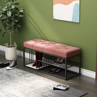 Storage Shoe Bench Shoe Storage Bench Shoes Cabinet Bench Shoe Bench with Seat Entryway Shoe Bench with 2-Tier Storage,Shoe Organizer with Padded Cushion Seat,for Entryway Hallway Living Room (Color