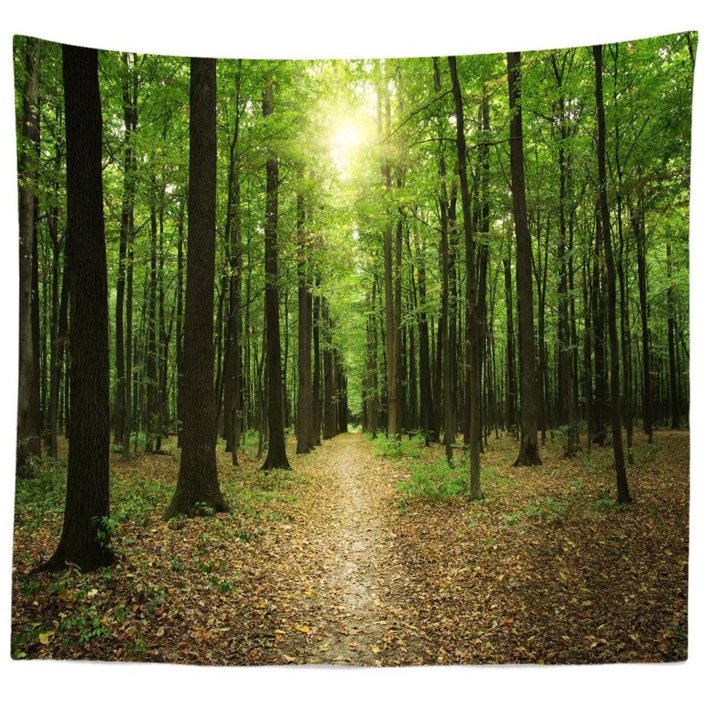BELECO Forest Nature Tapestry Jungle Woods Pathway Yellow Fallen Leaves Sunshine Background for Wall Tapestry Dark Tree Trunks Nature Tapestry Forest Theme Party Wall Decor Bedroom Living Room Decor