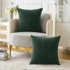 MIULEE Pack of 2 Green Throw Pillow Covers 20x20 Inch Soft Chenille Pillow Covers for Sofa Living Room Couch Solid Dyed Cases view 4