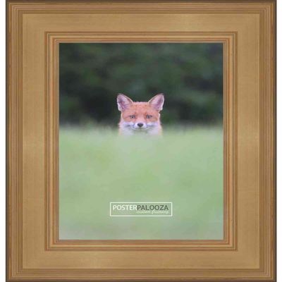 Poster Palooza 26x38 Traditional Gold Complete Wood Picture Frame with UV Acrylic Plexiglass, Foam Board Backing & Hardware Included