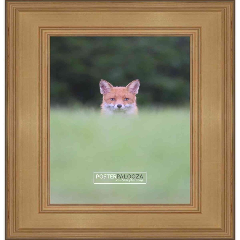 Poster Palooza 26x38 Traditional Gold Complete Wood Picture Frame with UV Acrylic Plexiglass, Foam Board Backing & Hardware Included